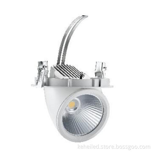 30W COB Adjustable angle eye downlight